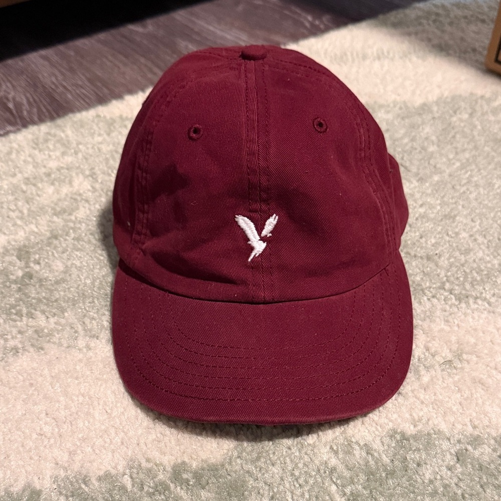 Embroidered AE Logo Hat